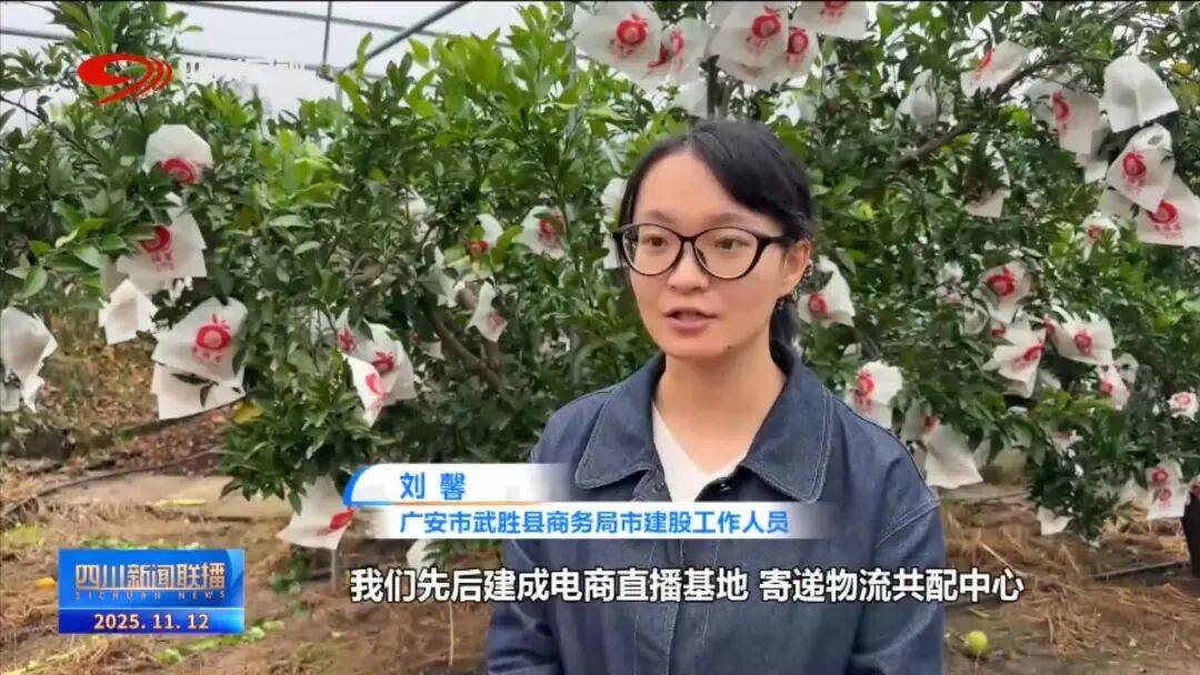 线”看四川平台经济进阶路OG真人平台提振消费 一(图7)